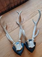 Kerstspullen te koop!, Huis en Inrichting, Ophalen