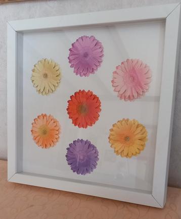 Gerbera's in lijst (Nijmegen oost) beschikbaar voor biedingen
