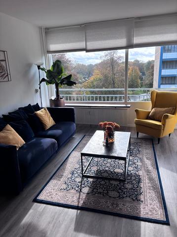 Salontafel - Vissengraat look - 65x100cm beschikbaar voor biedingen