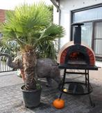 Compacte pizzaoven AMALFI RED BRICK / nieuwe bakoven, Ophalen, Houtskool, Amalfi, Nieuw