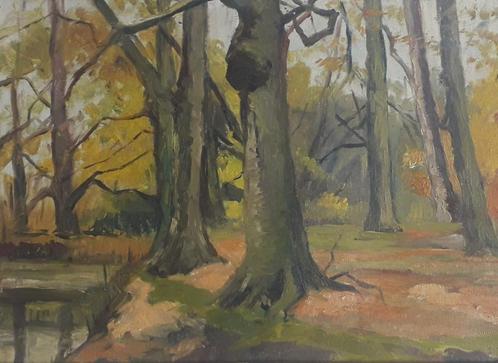KLEURRIJK LANDSCHAP MET BOMEN🌳BOS🌳EXPRESSIONISME>OUD 1940, Antiek en Kunst, Kunst | Schilderijen | Klassiek, Ophalen of Verzenden