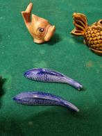 beelden vissen verschillende, Ophalen of Verzenden