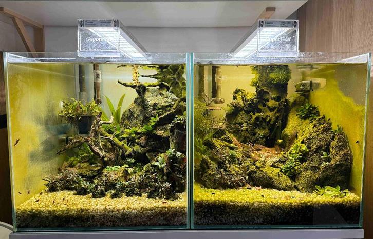 Superfish Aquaria met garnalen, Dieren en Toebehoren, Vissen | Aquaria en Toebehoren, Gebruikt, Gevuld zoetwateraquarium, Ophalen