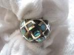 Mooi Stevige Half Bolle Zilveren Ring met Abalone - 16 1/4, Verzenden, Zilver, Ring