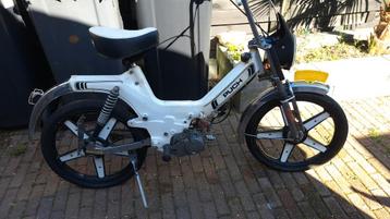 Te koop puch radical  beschikbaar voor biedingen