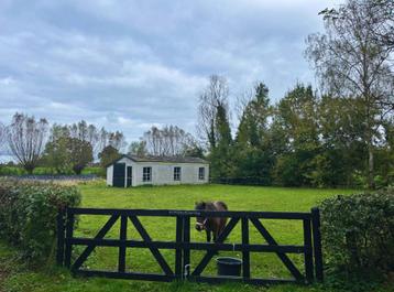 privé stalling - perfect voor paardencoaches beschikbaar voor biedingen