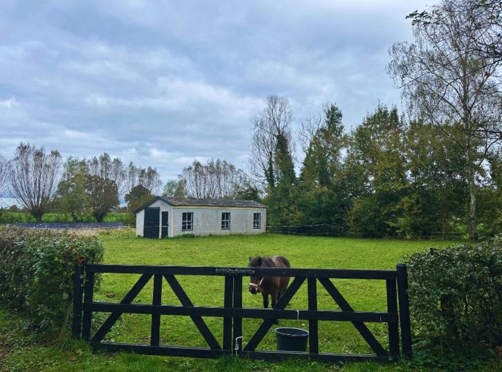 privé stalling - perfect voor paardencoaches, Dieren en Toebehoren, Stalling en Weidegang, Stalling, Weidegang, Toebehoren, 2 of 3 paarden of pony's