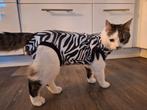 Medical pet shirt maat xs, Dieren en Toebehoren, Ophalen of Verzenden, Zo goed als nieuw