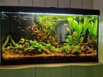 Aquarium compleet 80 x 30 x 40, Dieren en Toebehoren, Ophalen, Zo goed als nieuw, Gevuld zoetwateraquarium