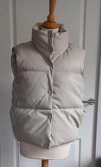 Bodywarmer van Desy NIEUW, Desy, Ophalen of Verzenden, Nieuw, Beige
