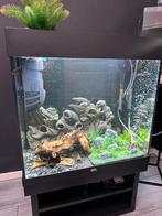 Juwel Lido 120 + meubel, Dieren en Toebehoren, Vissen | Aquaria en Toebehoren, Ophalen, Zo goed als nieuw, Leeg aquarium