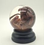 Kitten op sterk water, Verzamelen, Dierenverzamelingen, Ophalen of Verzenden, Nieuw, Hond of Kat, Opgezet dier