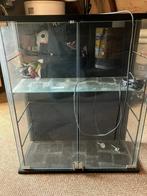 prijzenkast, Huis en Inrichting, Kasten | Vitrinekasten, Ophalen, Glas, 50 tot 100 cm, Zo goed als nieuw
