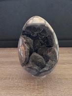 Septarie Ei - Gekristalliseerd Zwart uit Madagaskar, Ophalen of Verzenden, Mineraal