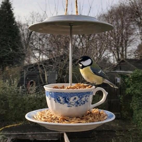 Vogelvoederhuisje van Oma's Servies, Ophalen of Verzenden, Zo goed als nieuw