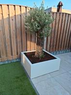 Metalen plantenbakken. 100x100x40 ALLEEN DEZE MAAND, Tuin en Terras, Ophalen of Verzenden, Nieuw, Metaal