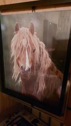 Paard - poster, Ophalen, Gebruikt, Dier of Natuur