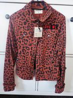 Wanderlust Amsterdam Jasje XS, Bruin, Ophalen of Verzenden, Zo goed als nieuw, Jasje