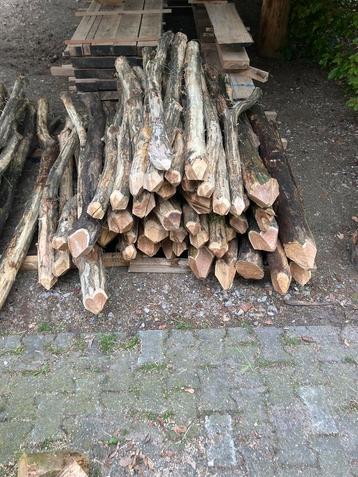 Te koop robinia weidepalen  beschikbaar voor biedingen