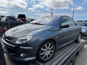 Peugeot 206 CC 1.6-16V 2006 veel onderdelen voorradig  beschikbaar voor biedingen