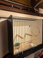 Tentoonstelling kooitje, Dieren en Toebehoren, Ophalen