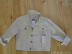 Nieuw Hema jasje 110/116, Jongen of Meisje, Nieuw, Ophalen of Verzenden, Hema