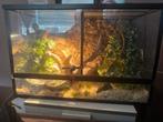 Terrarium 60 x 40x 38, Dieren en Toebehoren, Reptielen en Amfibieën | Toebehoren, Ophalen, Gebruikt, Terrarium of Paludarium