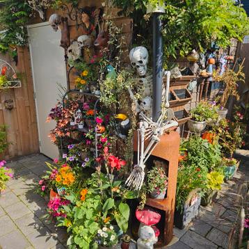 Cook King Vuurkorf  tuin haard tuinhaard cookking faro beschikbaar voor biedingen