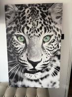Canvas panter, Ophalen
