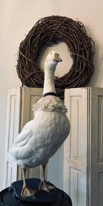 Grote opgezette gans (taxidermie), Antiek en Kunst, Ophalen