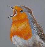 schilderij roodborstje 323- GRATIS lijst - origineel cadeau, Ophalen of Verzenden