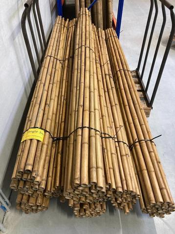 Bonenstaken beschikbaar voor biedingen