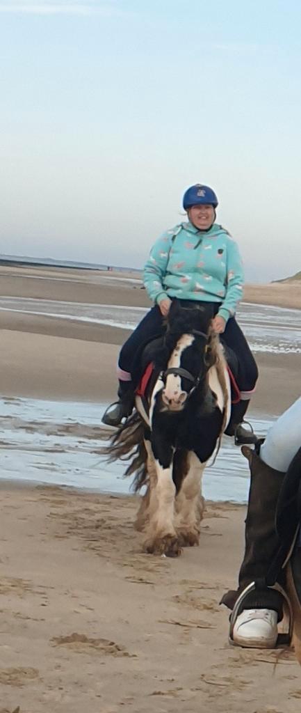 Bijrijdster aangeboden, Dieren en Toebehoren, Paarden en Pony's | Overige Paardenspullen, Nieuw, Overige soorten, Ophalen of Verzenden