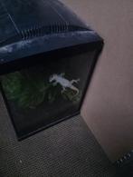 Ulikovsky Geckos, Dieren en Toebehoren, Ophalen, Zo goed als nieuw