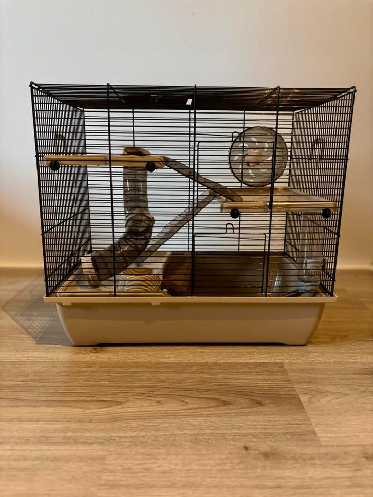 Hamsterhok, Dieren en Toebehoren, Knaagdieren en Konijnen | Hokken en Kooien, Zo goed als nieuw, Hok, Minder dan 60 cm, Minder dan 75 cm