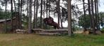 9 jarige Iers sportpaard, Dieren en Toebehoren, Paarden, Ruin, Dressuurpaard, 3 tot 6 jaar