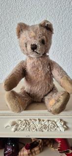 Steiff Beer Teddybeer met Knop - 24cm, Ophalen of Verzenden
