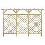 Tuinhek met latwerk en pergola 300x50x200 cm €279, Ophalen of Verzenden, Nieuw