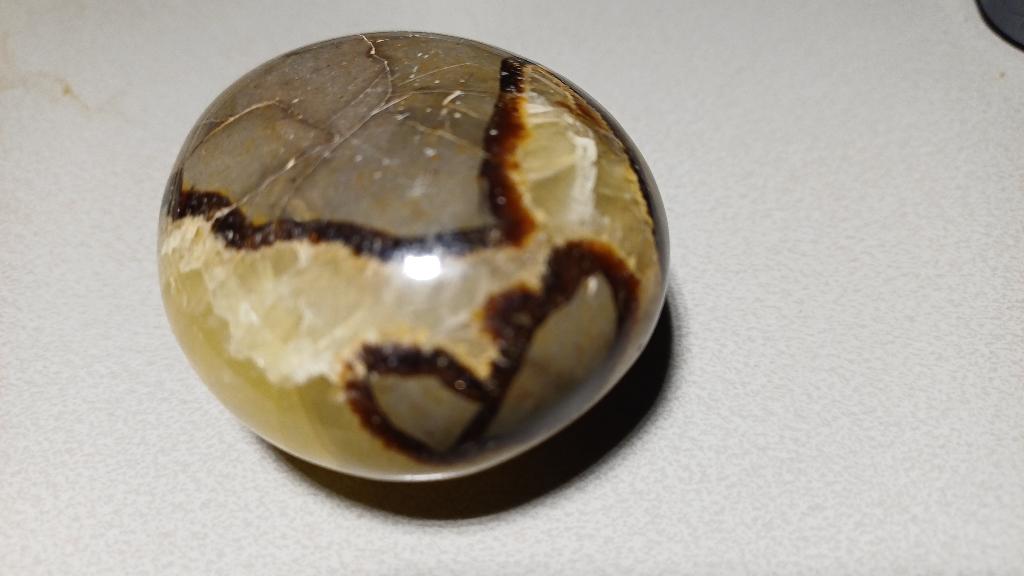 Sept02 Septari Madagascar #collectie #verzameling, Ophalen of Verzenden, Schelp(en)