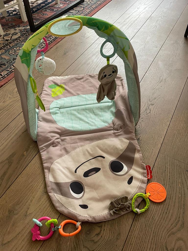 Fisher Price Ready to Hang Sensory Luiaard Gym, Ophalen of Verzenden, Gebruikt, Babygym