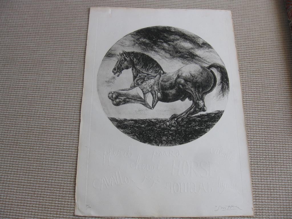 Willem Snitker. Ets 45/150. Op karton met reliëf. Gesigneerd, Antiek en Kunst, Kunst | Etsen en Gravures, Ets, Ophalen of Verzenden