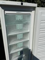 LIEBHERR NOFROS VRIESKAST 6 LADEN IZGS, Vrieskast, Ophalen of Verzenden, Zo goed als nieuw, Energieklasse A of zuiniger