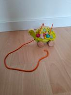 Schildpad, Ophalen, Jongen of Meisje