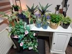 Diverse kunstplanten en -bloemen, Ophalen, Binnen, Gebruikt, Onderhoudsvrij