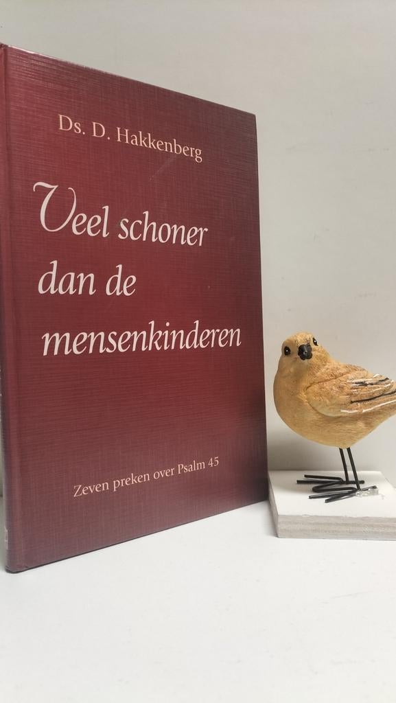Hakkenberg, Ds. D.; Veel schoner dan de mensenkinderen, Boeken, Ophalen of Verzenden, Gelezen, Christendom | Protestants