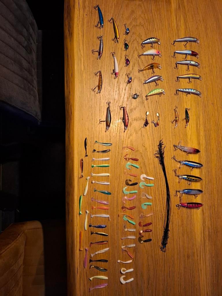 Visaas roofvis, Ophalen of Verzenden, Nieuw