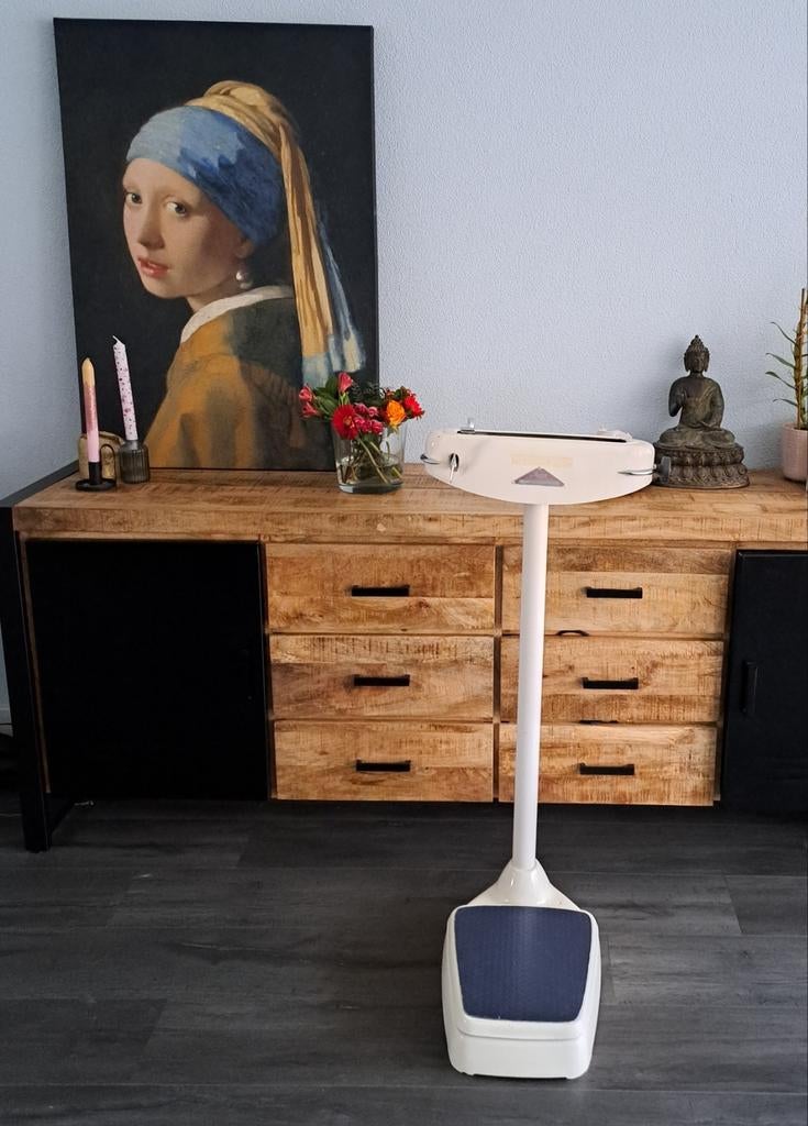 Weegschaal, Witgoed en Apparatuur, Weegschalen, Ophalen, Gebruikt, Personenweegschaal, Minder dan 10 kg