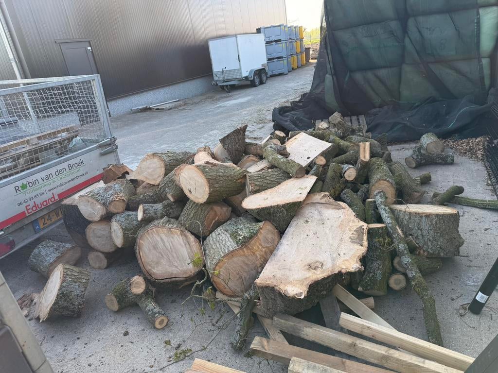 Ruim 5 kuub puur eiken hout, 3 tot 6 m³, Ophalen of Verzenden, Eikenhout