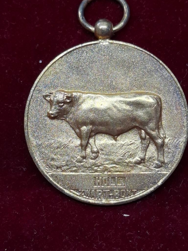 Medaille 1e prijs Martje XI's Bernard Ezinge 1958, Ophalen of Verzenden, Overige materialen