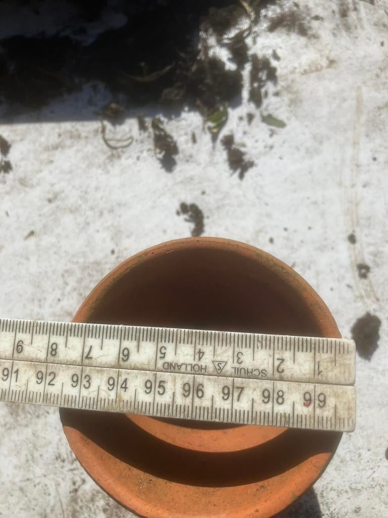 Ouderwetse terracotta potjes uit azaleakwekerij, Ophalen